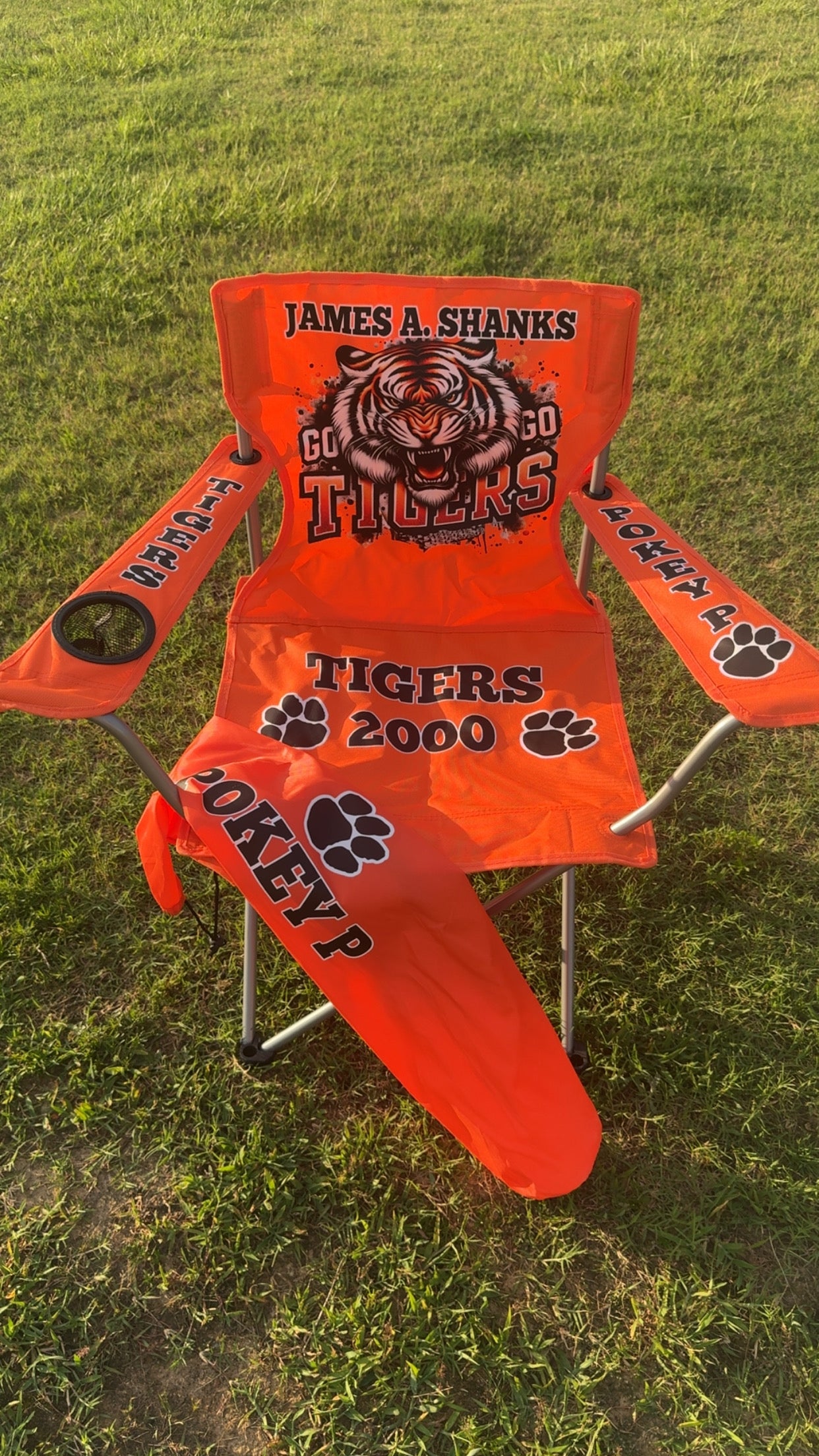 Customize Folding Yard Chairs